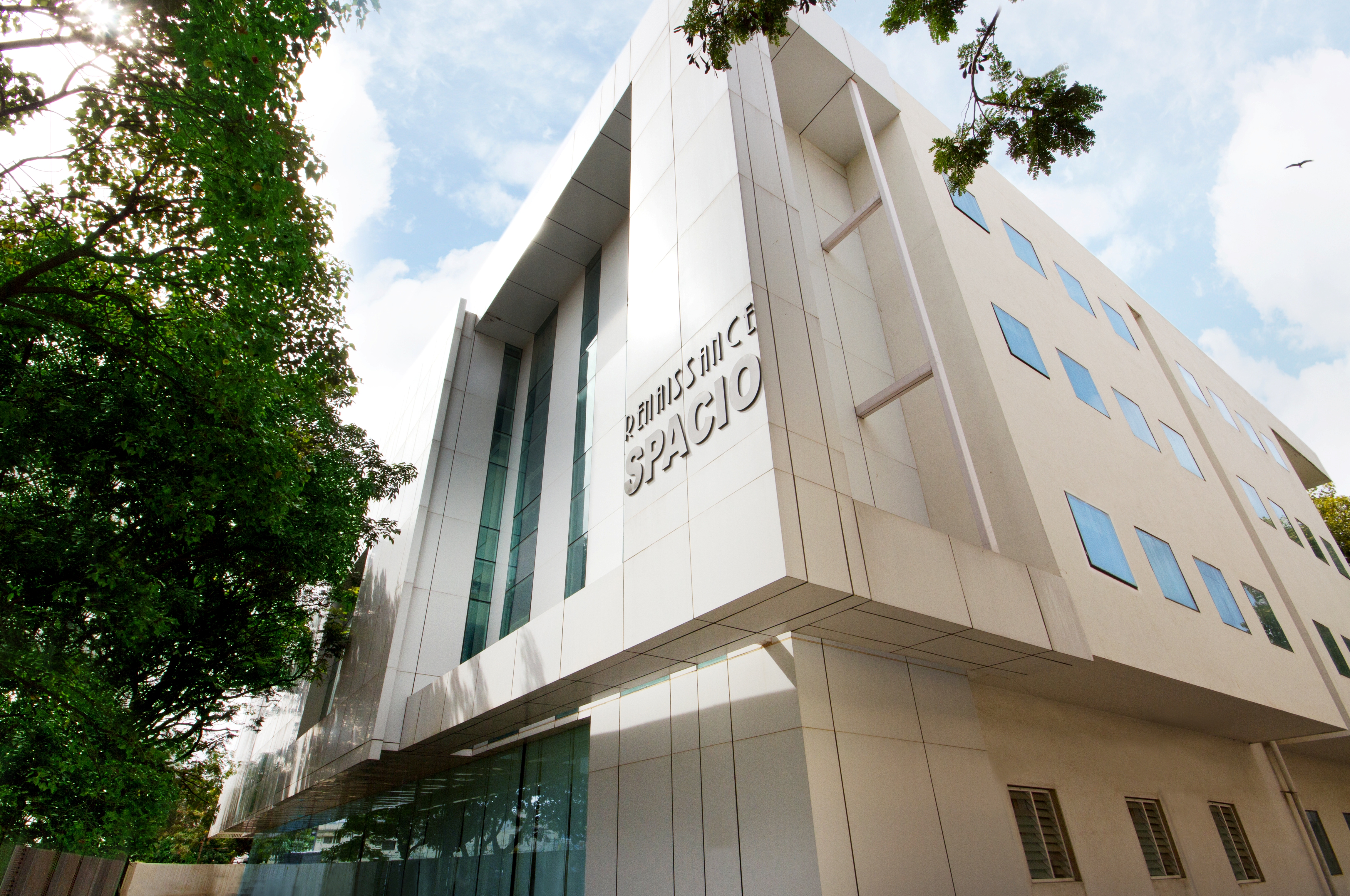 Renaissance Projects